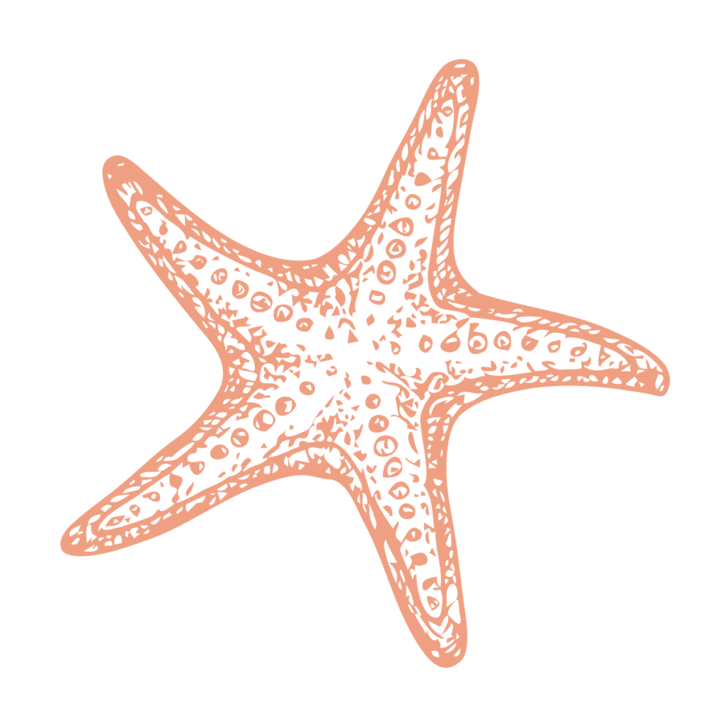 orange monochrome stencil illustration of a starfish