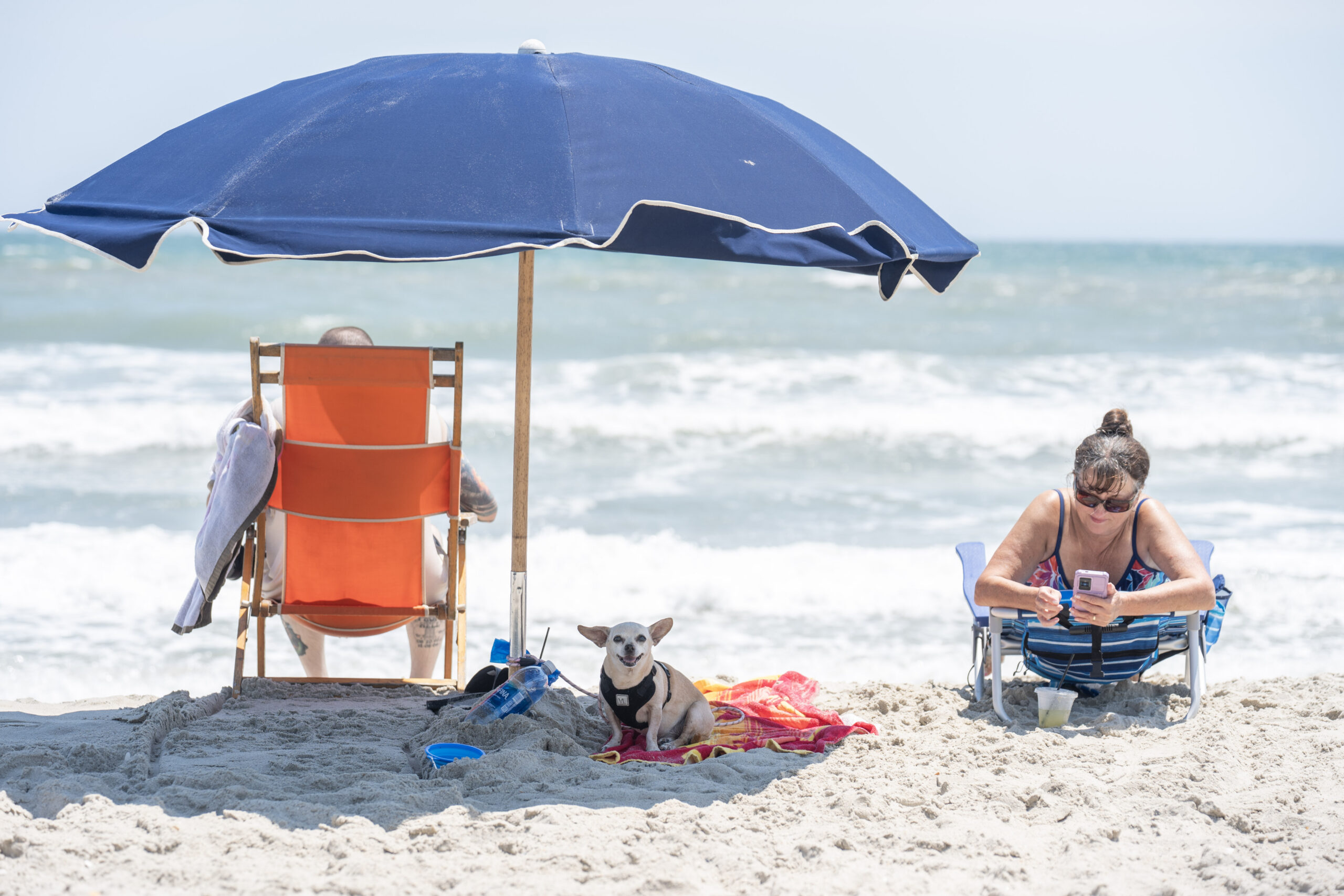 People lounging on the beach with their dog
