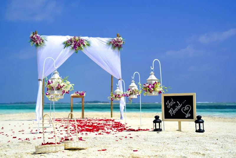 a wooden arch with white draping silky fabric stands on the beach with an aisle of roses leading up to it. at the front of the aisle is a chalkboard with white chalk that reads "just married"
